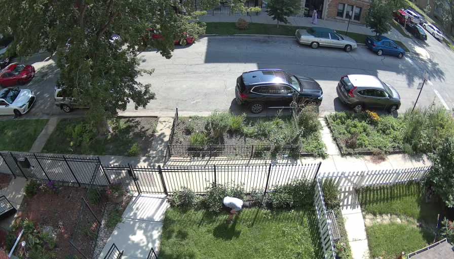 Reolink Camera One_00_Reolink Home Hub One_20250802100812.jpg